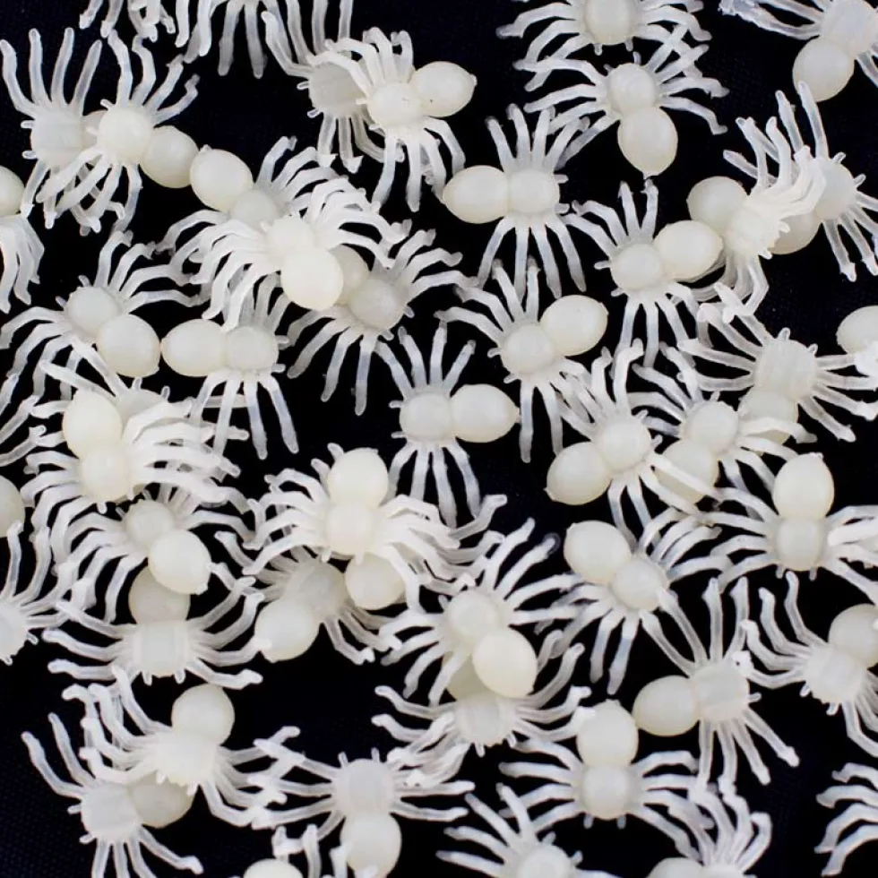 Arañas Fluorescentes para Decorar Halloween 70 ud