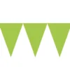 Banderín de Papel Verde Kiwi 4,5 metros