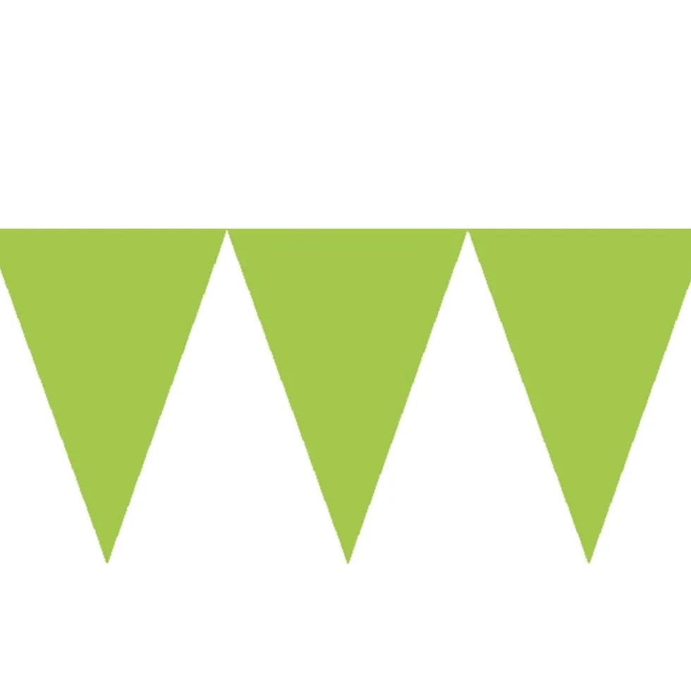 Banderín de Papel Verde Kiwi 4,5 metros