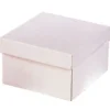 Caja para Tarta Extra Fuerte con Tapa 25 x 25 x 15 cm
