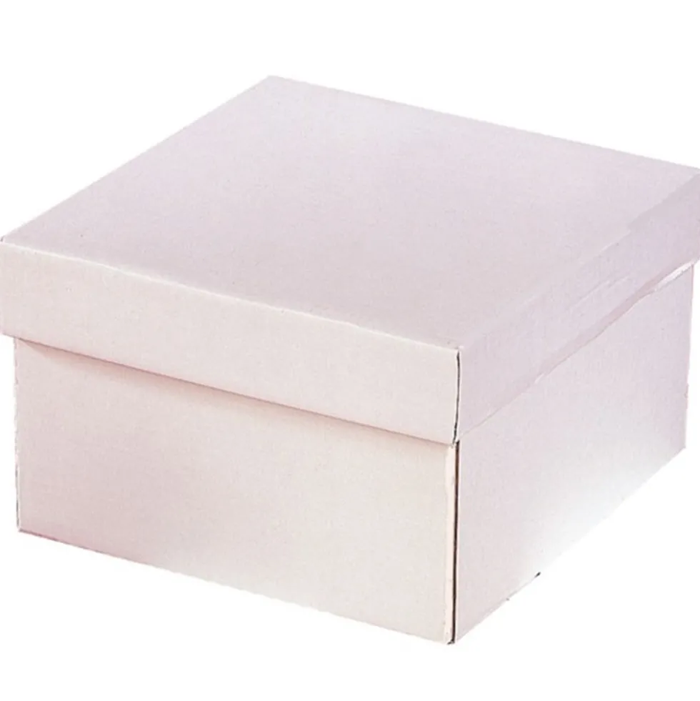 Caja para Tarta Extra Fuerte con Tapa 25 x 25 x 15 cm