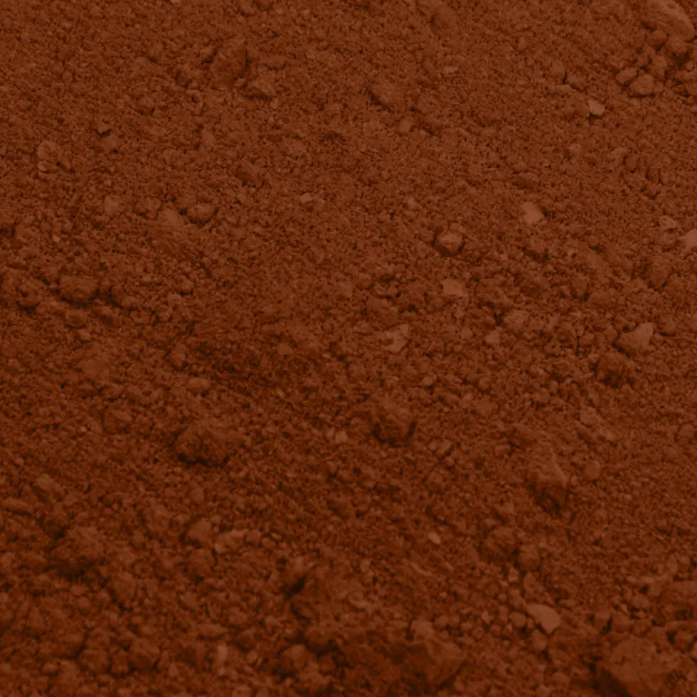 Colorante en Polvo Chocolate con Leche 2 gr - Rainbow Dust