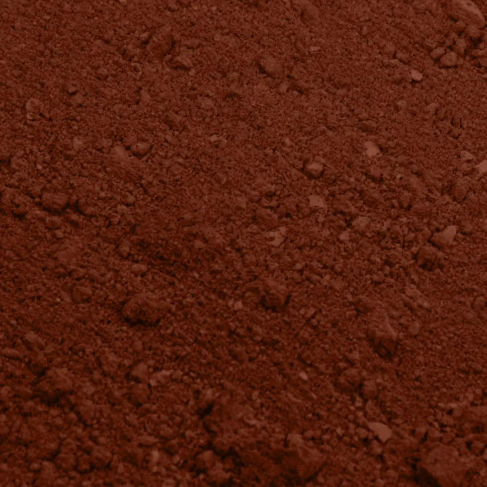 Colorante en Polvo Chocolate 2 gr - Rainbow Dust