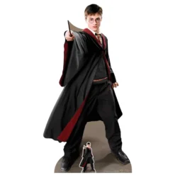 Decoración Photocall Harry Potter Capitán Quidditch 170 cm