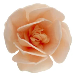 Decoraciones de Oblea Magnolia Blanca 6 ud - Dekora