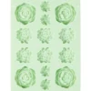 Molde de Silicona Suculentas