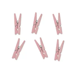 Set de 20 Mini Pinzas Rosas