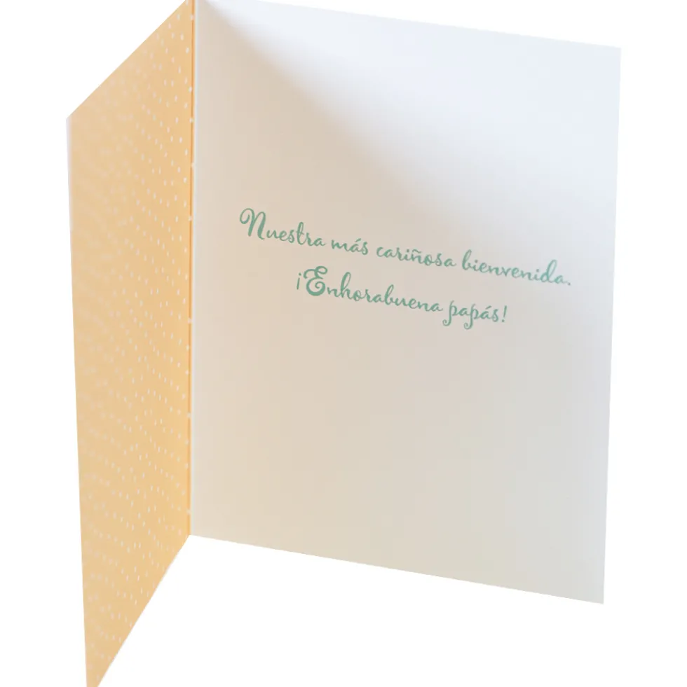 Tarjeta de Felicitación Nacimiento Modelo C