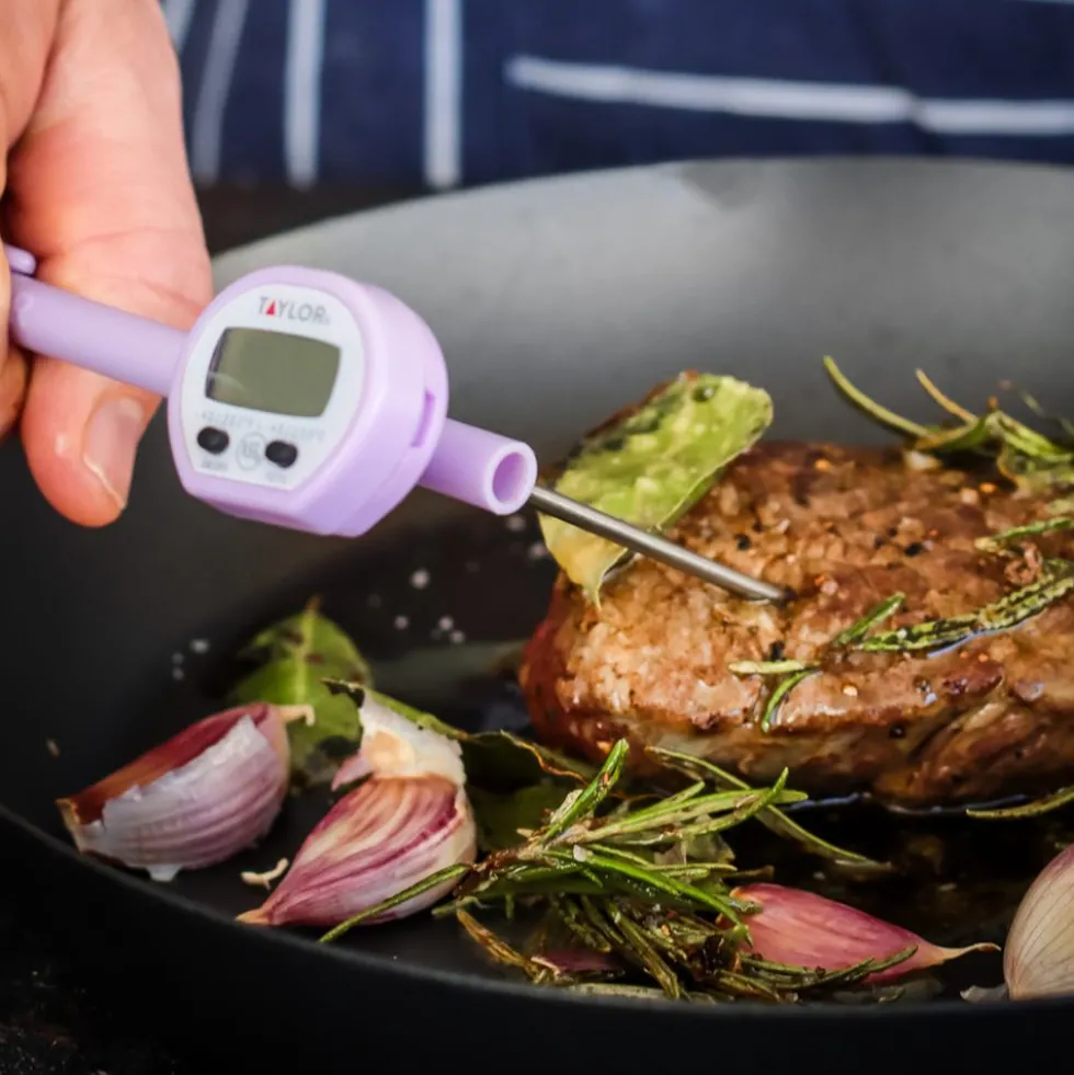 Termómetro Digital para Alimentos - Taylor Allergen